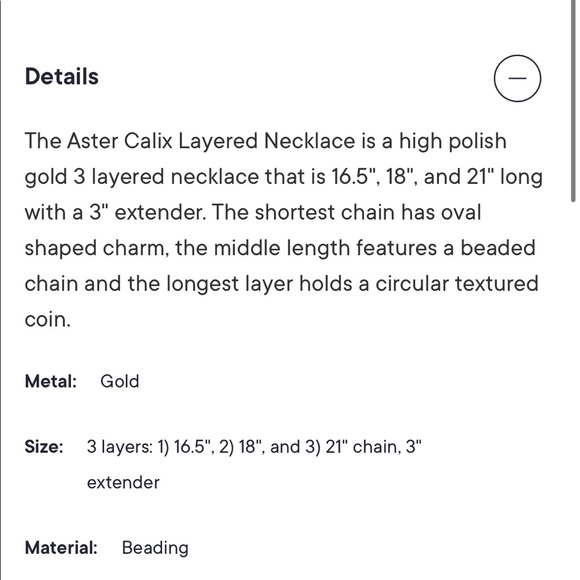 Aster Calix Layered Necklace - OS - Picture 9 of 9